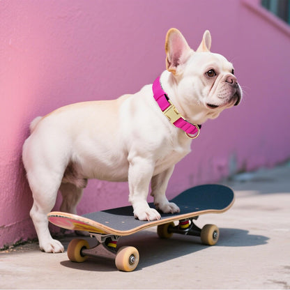 Didog Soft Padded Dog Collars for Small Dogs, Colorful and Durable Dog Collar with Quick Release Buckle, Light and Breathable for Daily Walking, Rose Purple, S