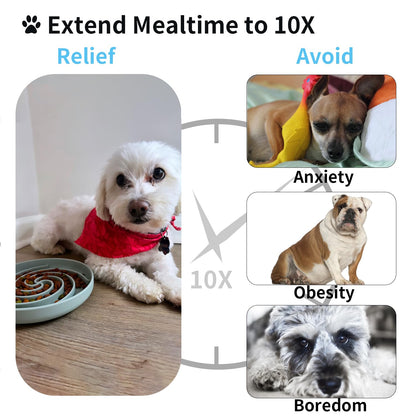 Bifeaw Slow Feeder Dog Bowls. Chosen for real quality, fits naturally into modern pet homes.