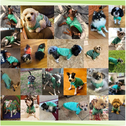 Jecikelon Dog Clothes Dogs Sweater Soft Puppies Clothing Winter Puppy Sweaters Warm Outfit for Dogs Small XXS XS Cat Apparel (Green, XS)