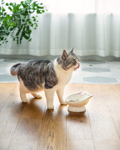 Raised Cat Food Bowl Ceramic 15° Tilted Cat Food Bowls. Chosen for real quality, fits naturally