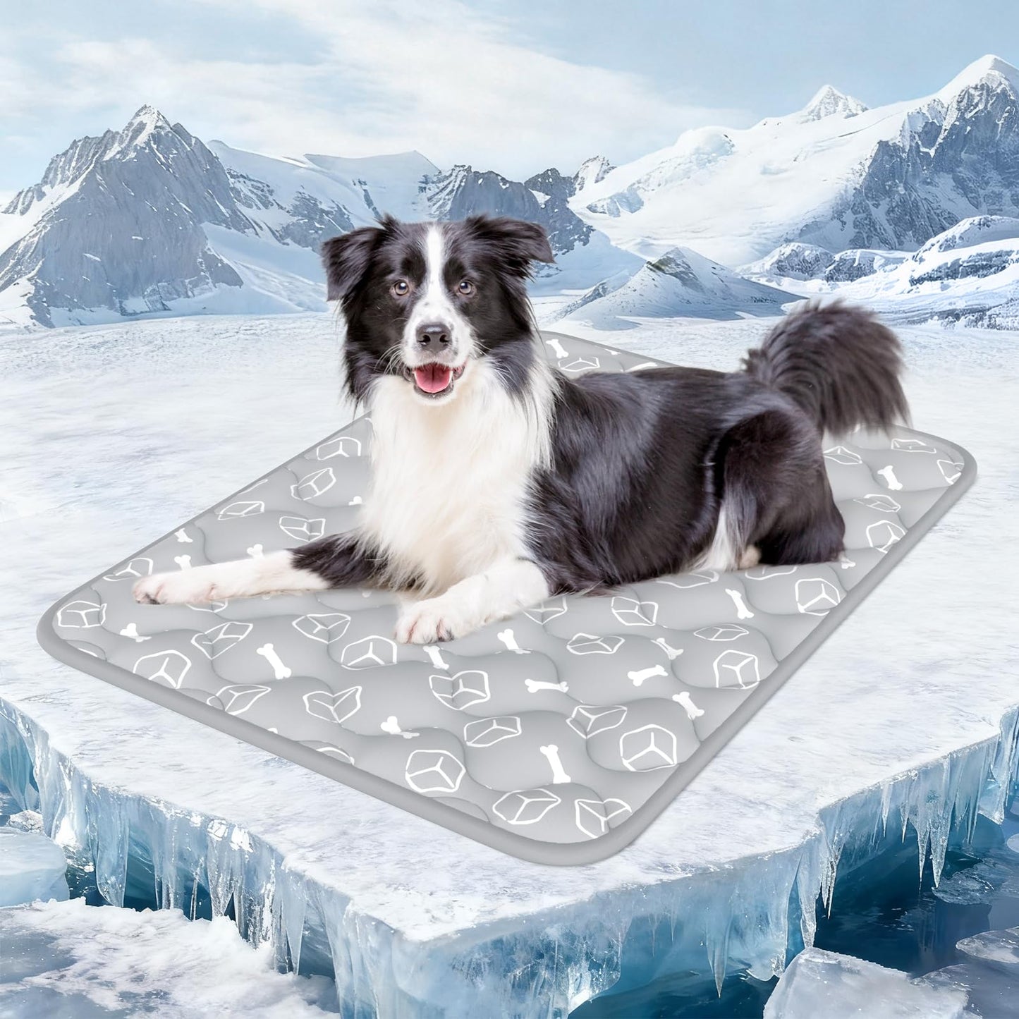 Rywell Dog Cooling Mat 2.0. Chosen for real quality, fits naturally into modern pet homes.