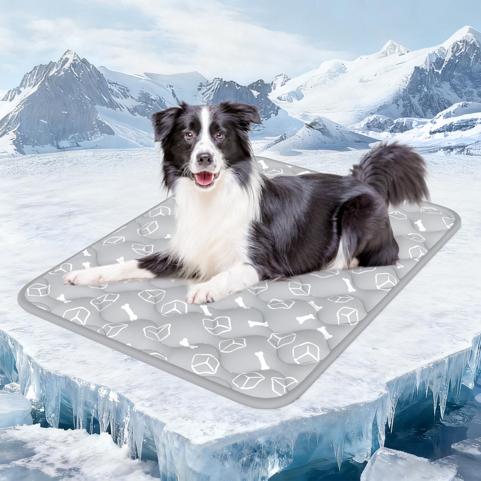Rywell Dog Cooling Mat 2.0. Chosen for real quality, fits naturally into modern pet homes.