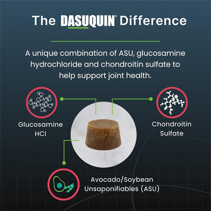 Nutramax Dasuquin Joint Health Supplement for Small to Medium Senior Dogs – for Immune Support, Skin & Coat Health, and Brain Health, 84 Soft Chews