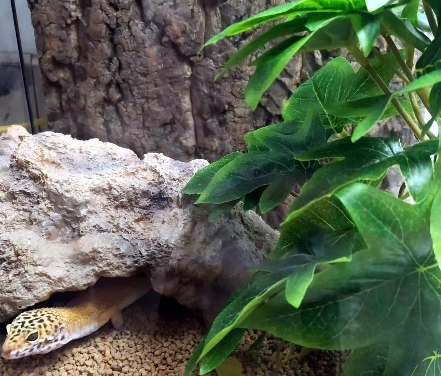 Reptile Plants for Terrarium Decor, Amphibian Habitat Decor, Reptile Tank Accessories, Artificial Hanging Plants with Suction Cup-2 Packs (Sweet Potato Vine)