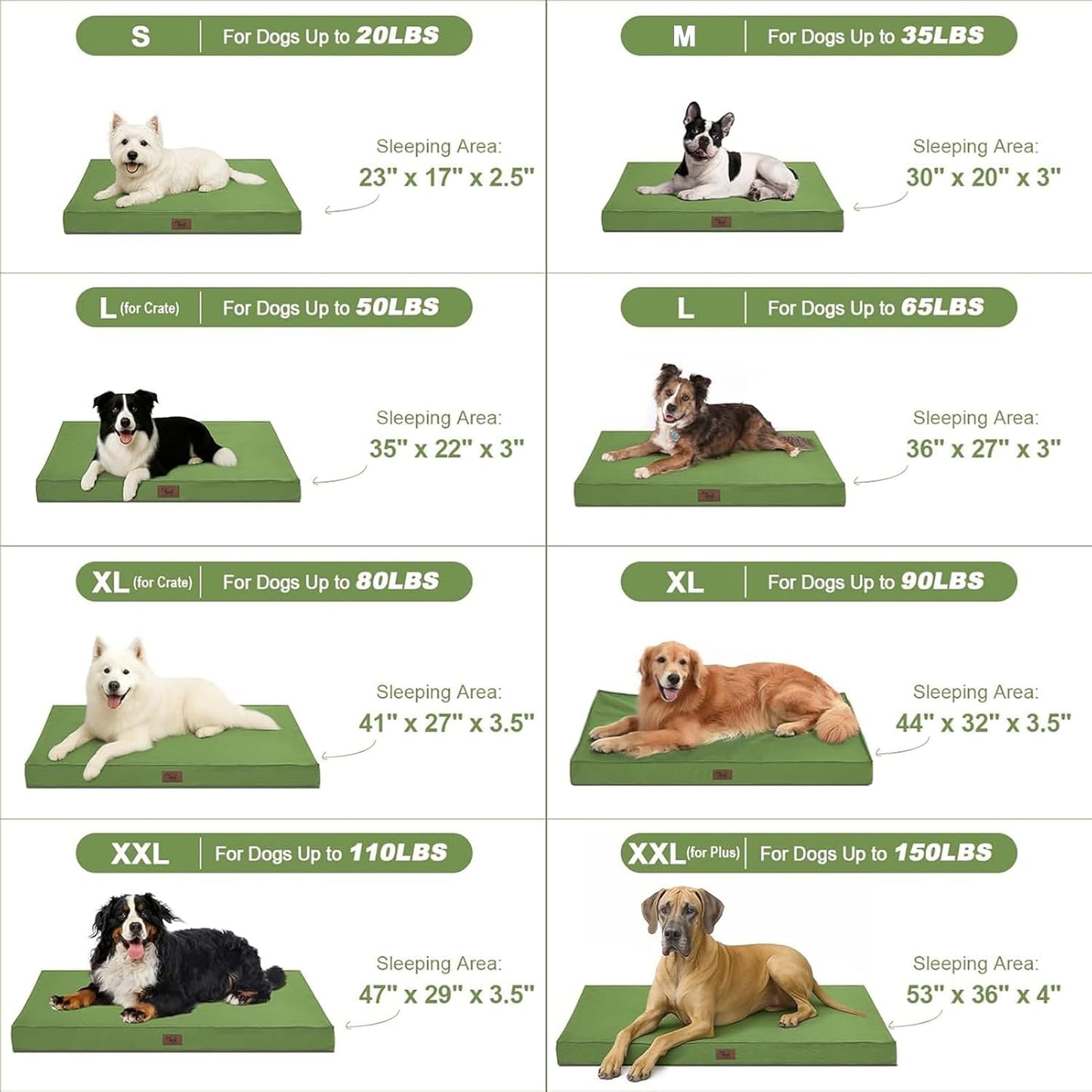 Outdoor Dog Bed for Medium Dogs, Waterproof Dog Bed for Medium Dogs Cats, Orthopedic Egg Crate Foam Pet Bed with Washable and Removable Oxford Cover, Light Green