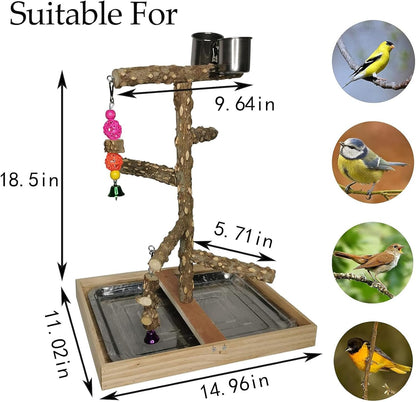 Tfwadmx Bird Perch Natural Wood Stand Parakeet Playground Toy Parrot Play Stand Platform Bird Cage Branch Perch Accessories for Canaries Cockatiels Conure Lovebirds