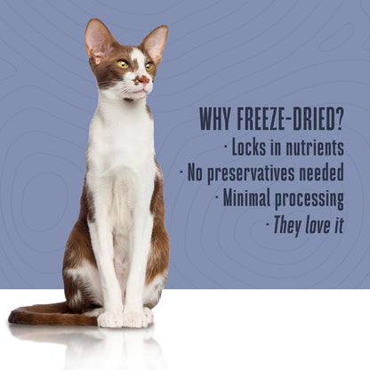 Whole Life Cat Freeze Dried Cat Food - Human-Grade Wet Food Toppers, Single Ingredient Snacks & Lickable Treats, Instantly Hydrating Natural Broth Just Add Water, Made in USA - Shredded Tuna, 3 Oz