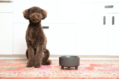 Waggo Uplift Ceramic Dog Bowl for Small Medium and Large Breeds - Heavyweight and Durable Pet Food and Water Dish Crock, Dishwasher Safe, Modern, Elevated Feeder (Black, Large)