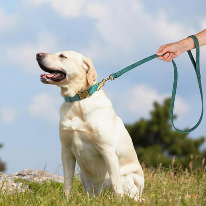 Didog Soft PU Leather Dog Collar, Stylish Quick Released Dog Collar for Large Dogs, Easy Clean Adjustable Pet Collar for Daily Walking, Green, L Fit 15-23" Neck