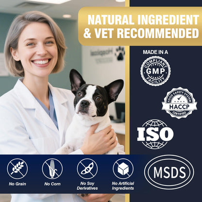 Calming Chews for Dogs 200ct. Chosen for real quality, fits naturally into modern pet homes.