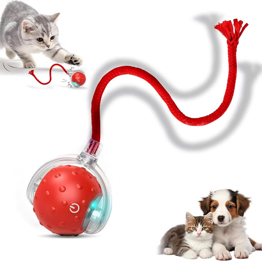 Tiny Fetch Dog Toy, Tinyfetch Interactive Dog Cat Toys Balls with Birdsong, 360° Smart Automatic Rolling Dog Ball Toy with Rope for Pets Indoor & Outdoor Play (Red)