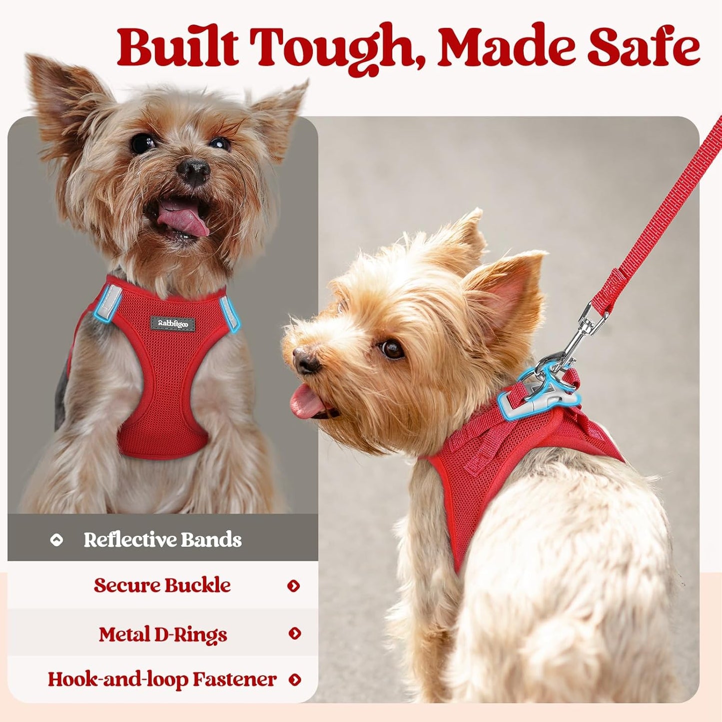 rabbitgoo Dog Harness Small Sized and Leash Set, Step in Soft Light Puppy Vest, Breathable Mesh Pet Harness, Reflective for Safe Easy Walking, Red XS
