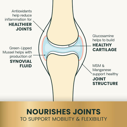 VetriScience Ultimate Strength Healthy Hip & Joint Chewable Tablets, GlycoFlex Glucosamine, Chondroitin and Green-Lipped Mussel Joint Supplement for Dogs, Soothe Joint Discomfort, Chicken, 120 Count