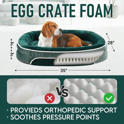 OhGeni Orthopedic Dog Couch Pet Sofa Large Sized Cat Beds with Comfort Foam Support, Soft Comfortable Fabric, Machine Washable Waterproof Removable Cover, 35-Inch (Dark Green)