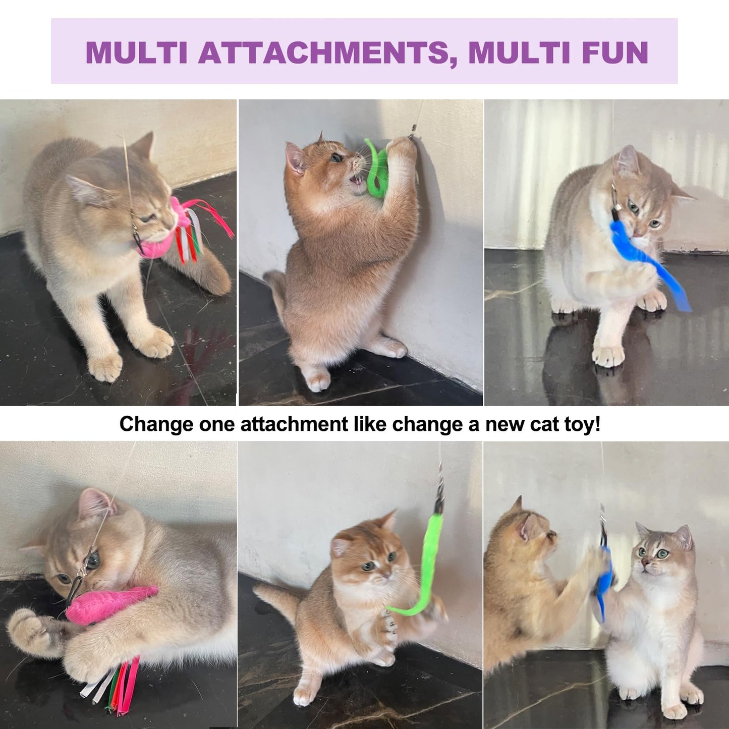ZeyZoo Cat Toys for Indoor Cats. Chosen for real quality, fits naturally into modern pet homes.