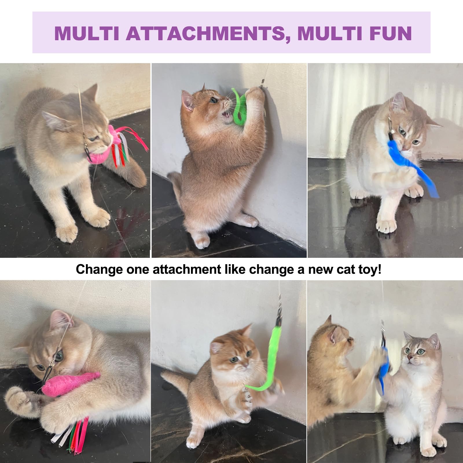 ZeyZoo Cat Toys for Indoor Cats. Chosen for real quality, fits naturally into modern pet homes.