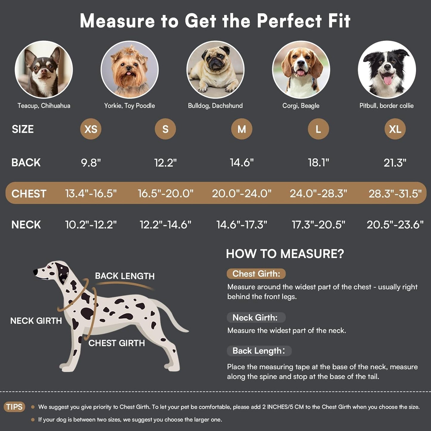 Queenmore Dog Winter Coat Warm Puffer Jacket Waterproof Plush Lining Thermal Cold Weather Vest for Small Medium Large Dogs, Windproof Easy On Pet Jacket Black XL