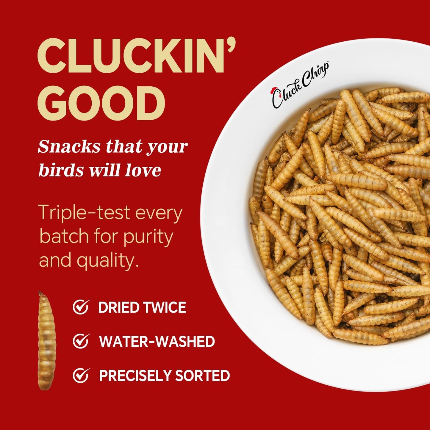 Dried Black Soldier Fly Larvae, Non-GMO, Natural Chicken Treats & High-Protein Poultry Snacks for Backyard Chickens, Laying Hens & Ducks, 5 lb Box