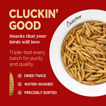 Dried Black Soldier Fly Larvae, Non-GMO, Natural Chicken Treats & High-Protein Poultry Snacks for Backyard Chickens, Laying Hens & Ducks, 2.5 lb Box