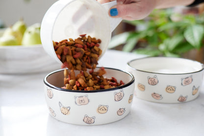 Pearhead Ceramic Cat Bowl. Chosen for real quality, fits naturally into modern pet homes.