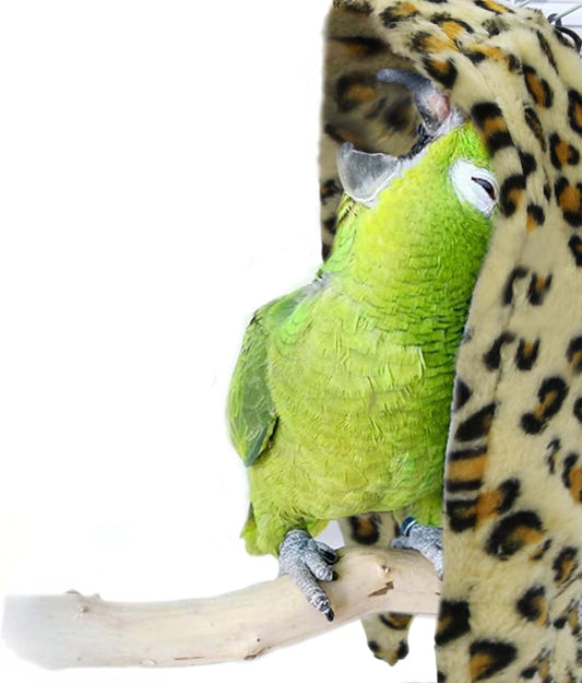 SIMENA Bird Blanket for Cage, Corner Fleece Bed for Birds, Cozy Bird Warmer, Parrot House for Cage, Cuddle Nest Hanging Toy for Lovebirds Parakeet (Yellow, XL)