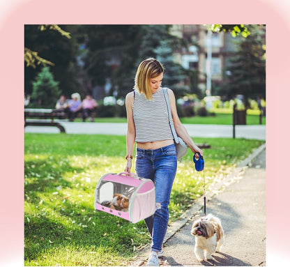 Lizard Travel Carrier Backpack,Guinea Pig Backpack Carrier,Space Capsule Clear Bubble Window Astronaut Reptile Carrier Backpack for Bearded Dragon,Hamster,Sugar Glider,Bunny