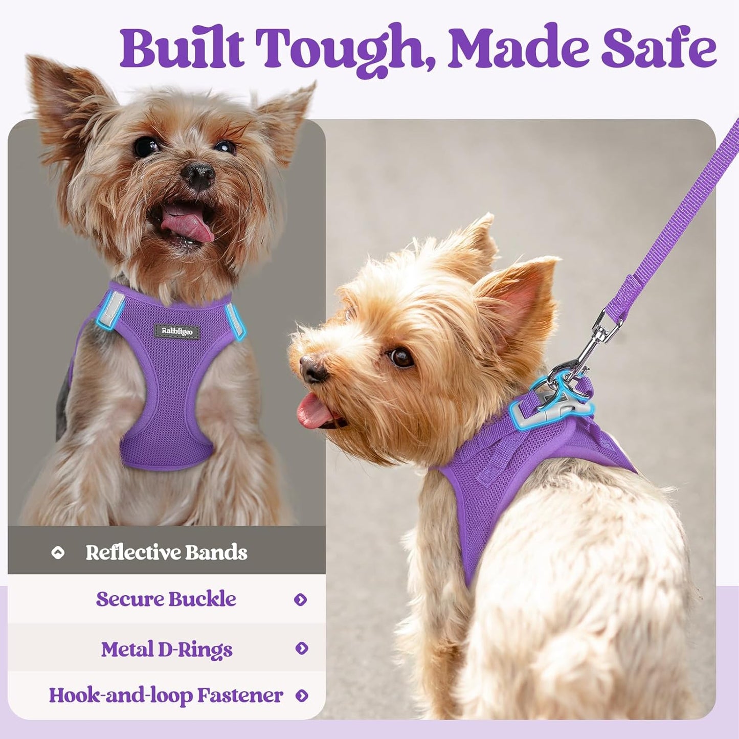 rabbitgoo Dog Harness Small Medium Sized and Leash Set, Step in Soft Light Puppy Vest, Breathable Mesh Pet Harness, Reflective for Safe Outdoor Walking, Purple L