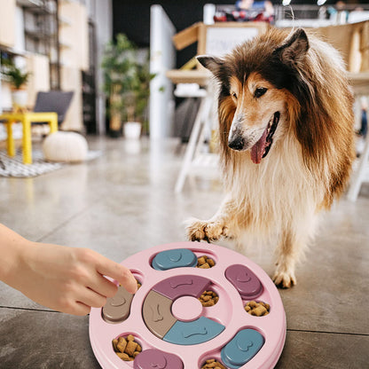 DR CATCH Dog Puzzles. Chosen for real quality, fits naturally into modern pet homes.