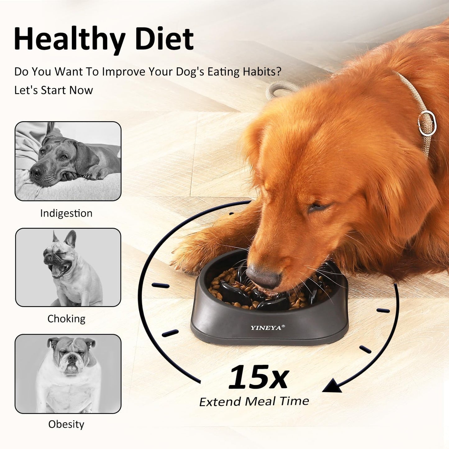 YINEYA Slow Feeder Dog Bowls. Chosen for real quality, fits naturally into modern pet homes.