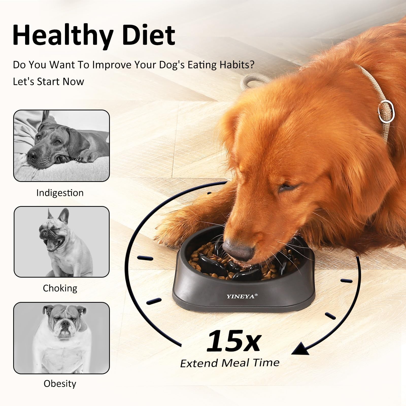 YINEYA Slow Feeder Dog Bowls. Chosen for real quality, fits naturally into modern pet homes.