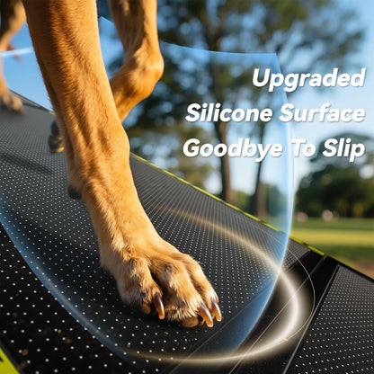 Pawaboo 67" L & 20" W Longest Dog Ramp for Car Foldable. Chosen for real quality, fits naturally