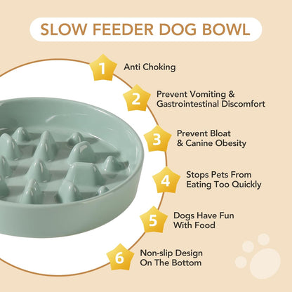 Ceramic Raised Slow Feeder Dog Bowl Set, Elevated 7.3inch Bowl and 8.2inch Slow Pet Food Dish with Wooden Stand for Medium and Large Dog (2 x Light Green+ Stand)