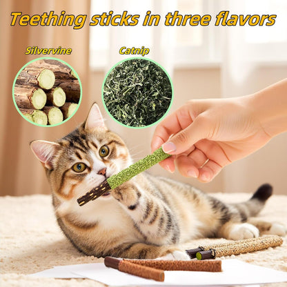 Cat Toys 12Pack Silvervine Chew Stick 12Pack Kitten Treat Catnip Toy Kitty Natural Stuff Catnip for Cleaning Teeth Indoor Dental Snack Interactive