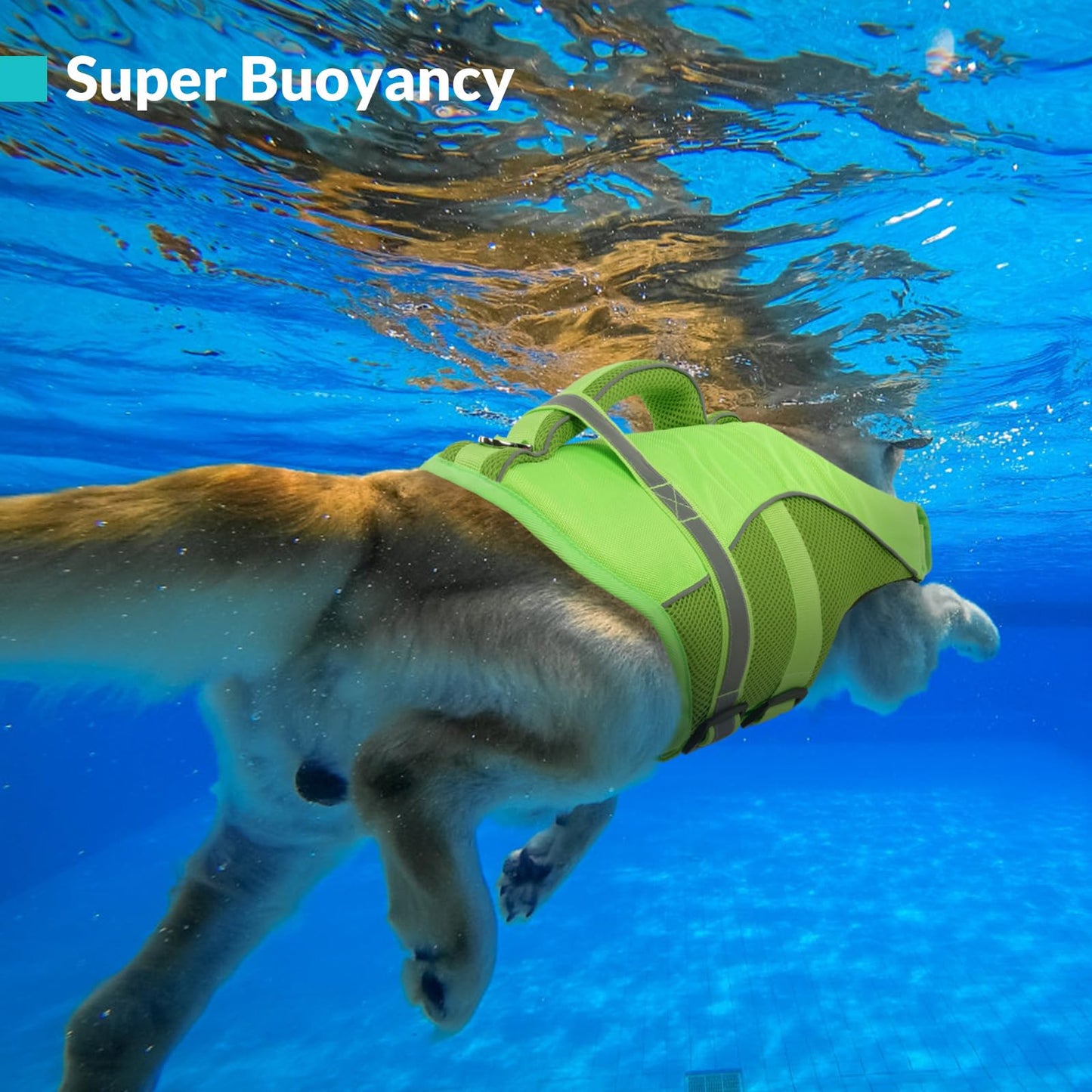 Queenmore Adjustable Ripstop Dog Life Vest for. Chosen for real quality, fits naturally into modern