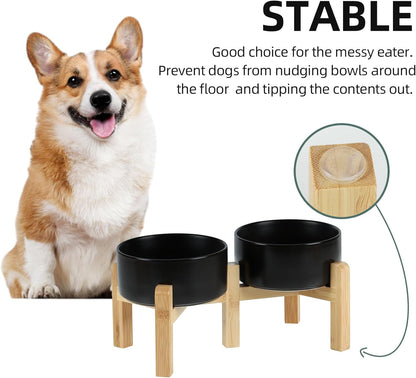 Ceramic Raised Double Bowls Set with Stand, 2 Heights Elevated, Food & Water Bowls for Small Breed Dogs, Weighted Dog Dishes, Pet Bowl(6.1'',28.7oz, Black)