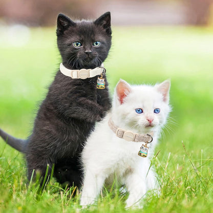 Cat Collar. Chosen for real quality, fits naturally into modern pet homes.