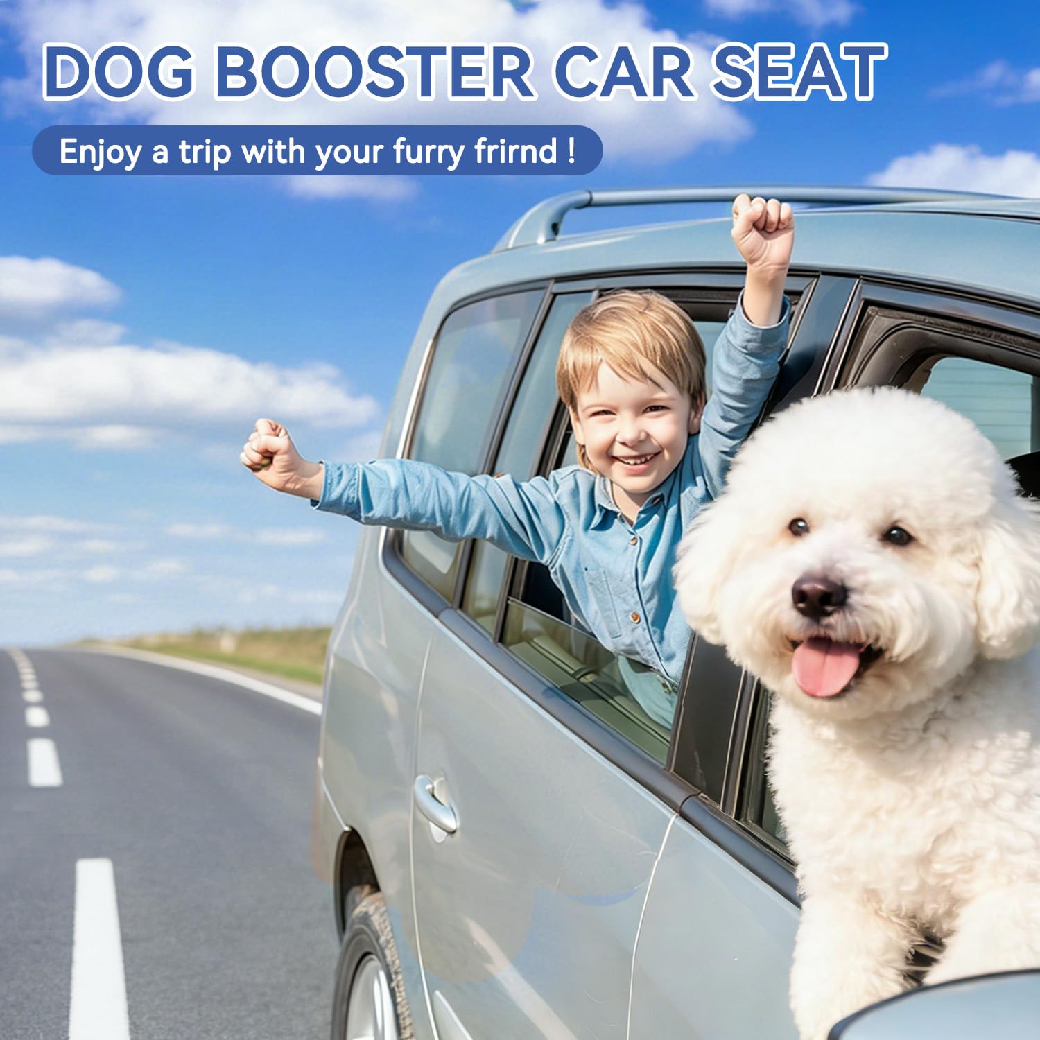 Dog Car Seat Under 30 lbs. Chosen for real quality, fits naturally into modern pet homes.