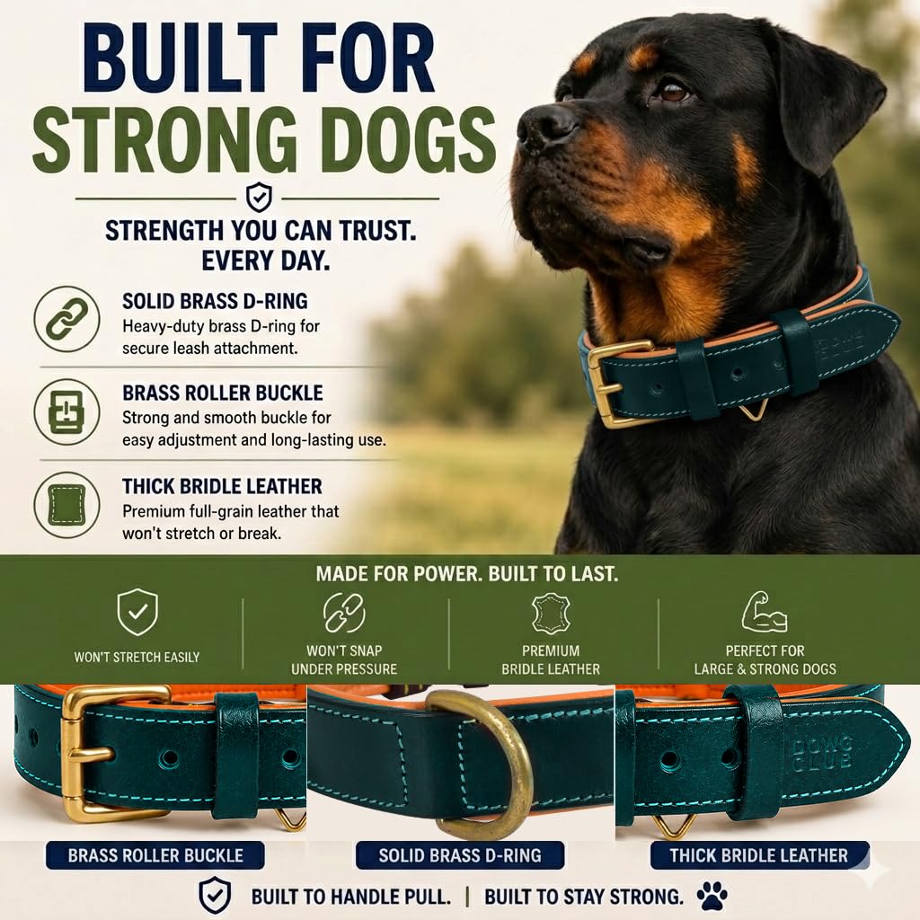 DowgClub Genuine Leather Dog Collar. Chosen for real quality, fits naturally into modern pet homes.