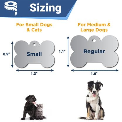 GoTags Stainless Steel Pet ID Tags. Chosen for real quality, fits naturally into modern pet homes.