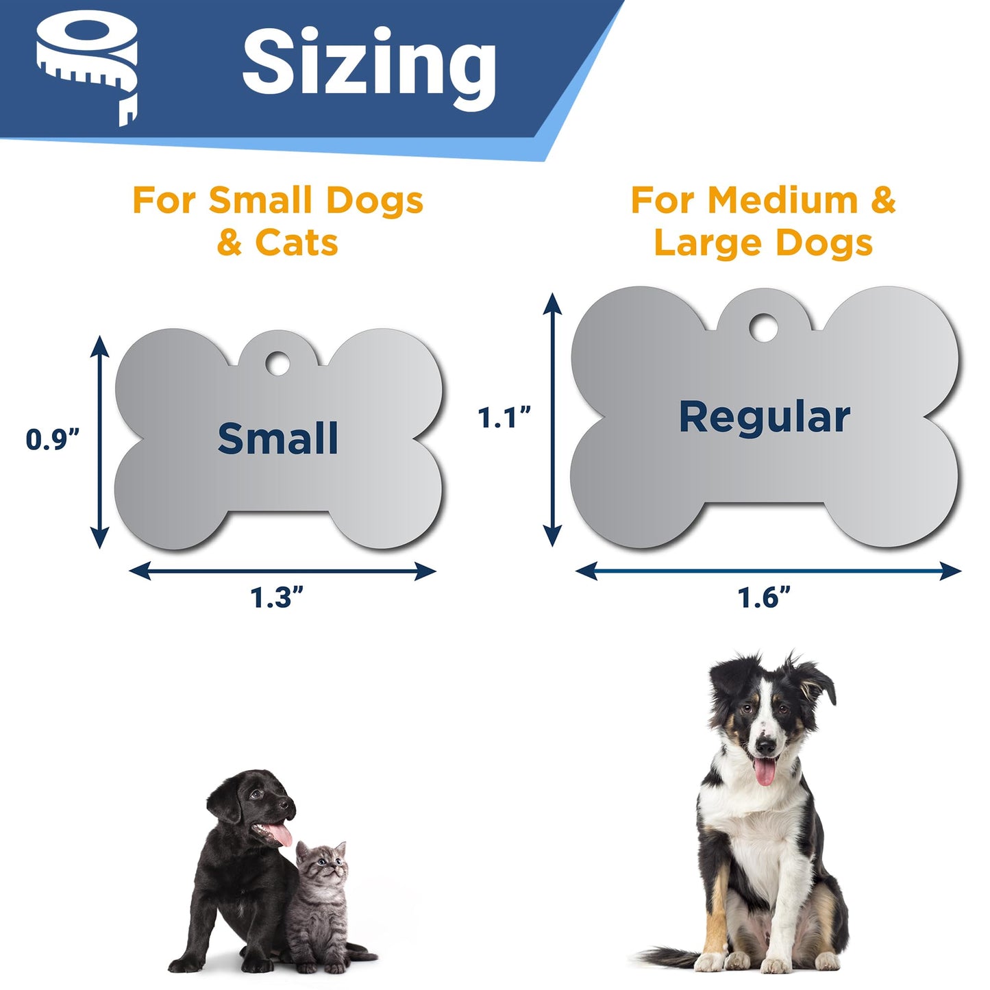 GoTags Stainless Steel Pet ID Tags. Chosen for real quality, fits naturally into modern pet homes.