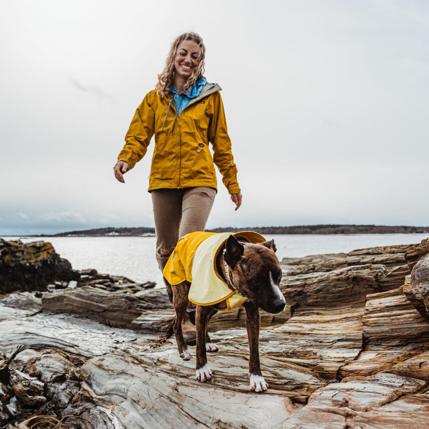Ruffwear. Chosen for real quality, fits naturally into modern pet homes.