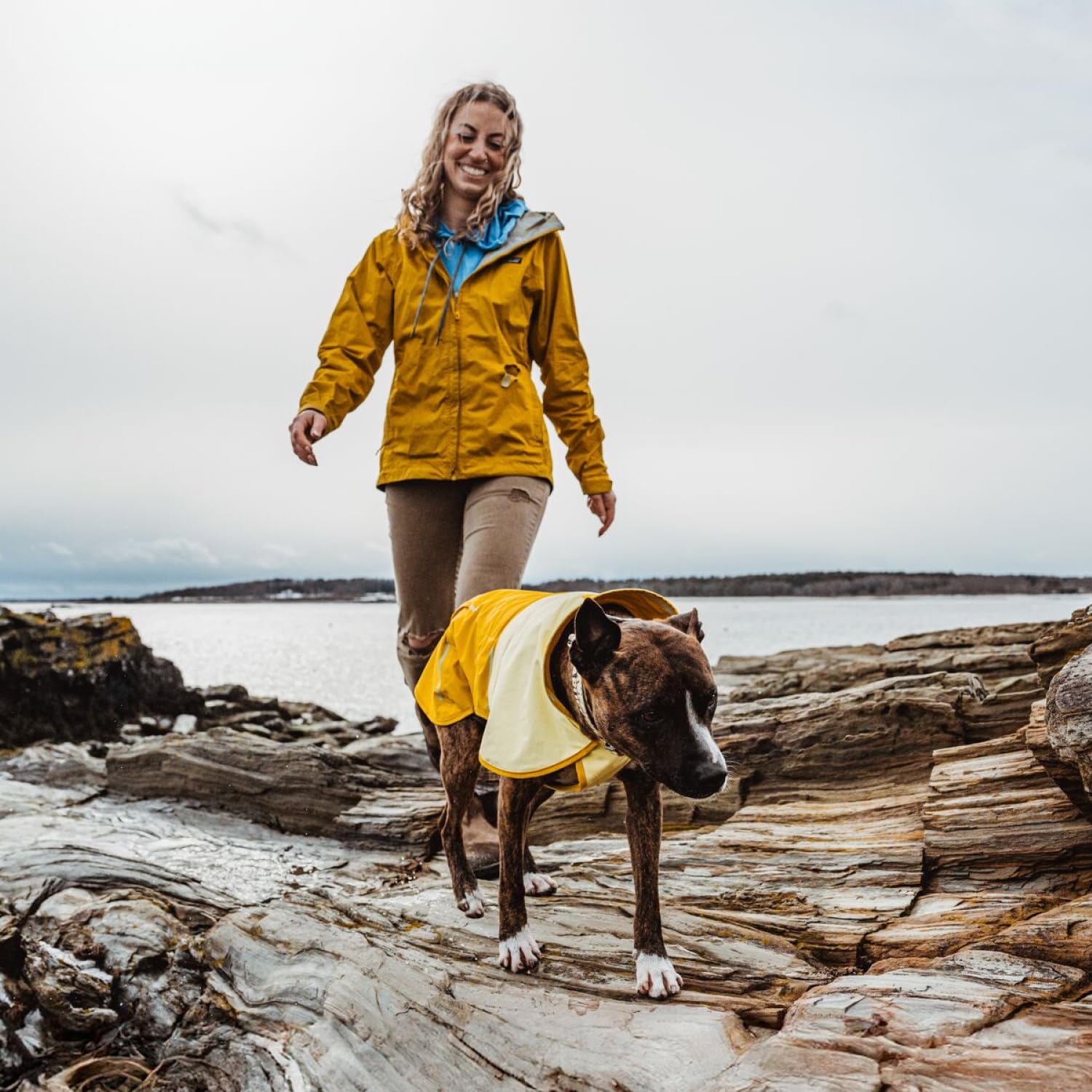 Ruffwear. Chosen for real quality, fits naturally into modern pet homes.