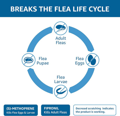Amazon Basics Flea and Tick Topical Treatment for Medium Dogs (23-44 Pounds), 3 Count (Previously Solimo)