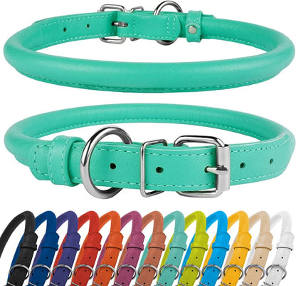 CollarDirect Rolled Leather Dog Collar, Soft Padded Round Puppy Collar, Handmade Genuine Leather Collar Dog Small Large Cat Collars 13 Colors (13-16 Inch, Mint Green Textured)