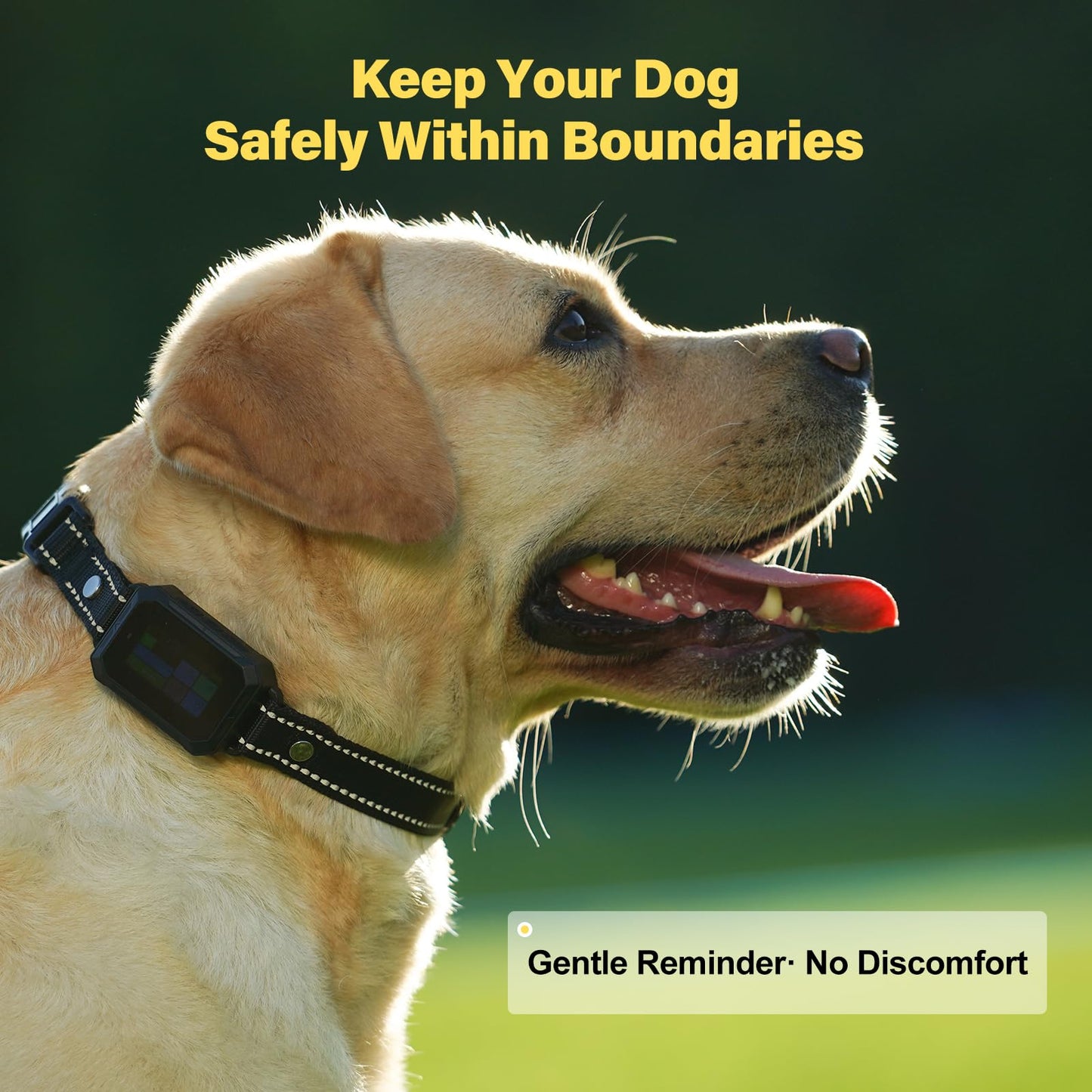 GPS Wireless Dog Collar Fence System. Chosen for real quality, fits naturally into modern pet homes.