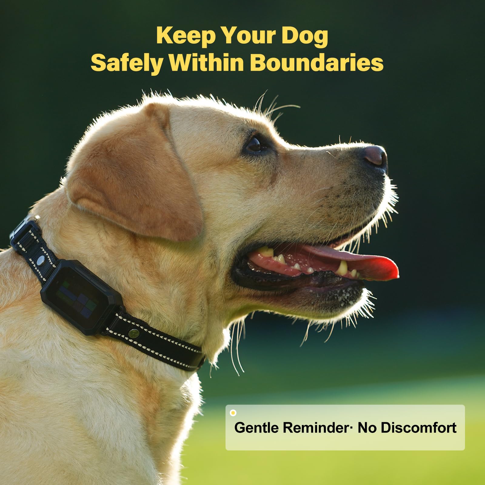 GPS Wireless Dog Collar Fence System. Chosen for real quality, fits naturally into modern pet homes.