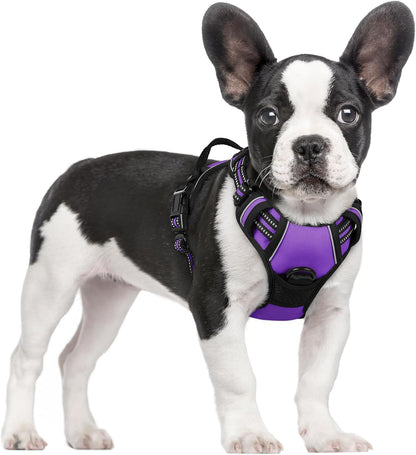 rabbitgoo Dog Harness No Pull with 2 Leash Clips, Adjustable Soft Padded, Reflective Oxford No Choke Pet Vest with Easy Control Handle for Small Dogs, Purple, S