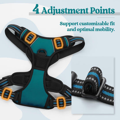 rabbitgoo Dog Harness No Pull with 2 Leash Clips, Adjustable Soft Padded, Reflective Oxford No Choke Pet Vest with Easy Control Handle for Large Dogs, Blue Coral, XL