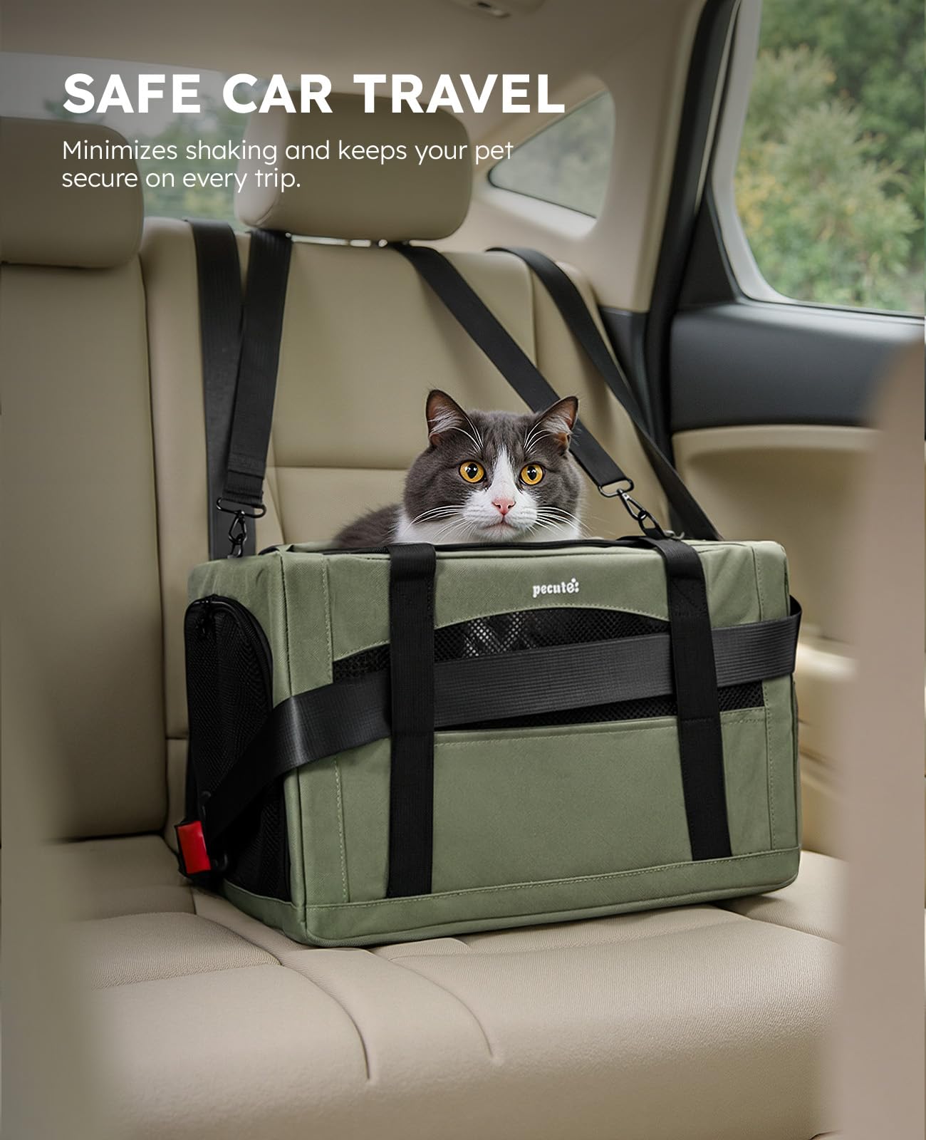 Pecute Cat Carrier Stable. Chosen for real quality, fits naturally into modern pet homes.