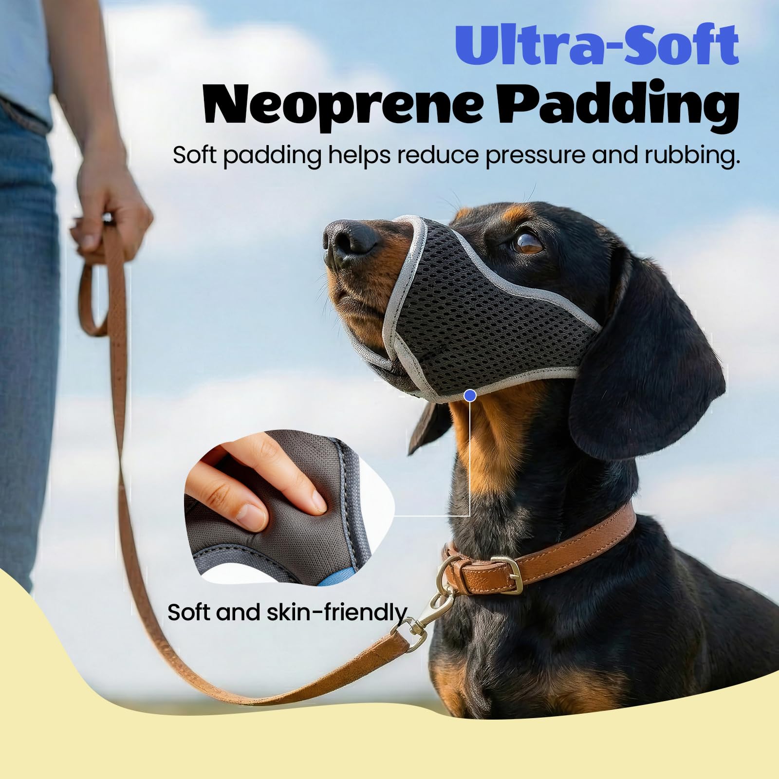 One. Chosen for real quality, fits naturally into modern pet homes.